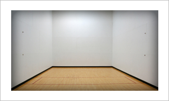 Typical racquetball court