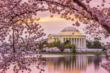 “Laws and institutions must go hand in hand with the progress of the human mind.” - Thomas Jefferson